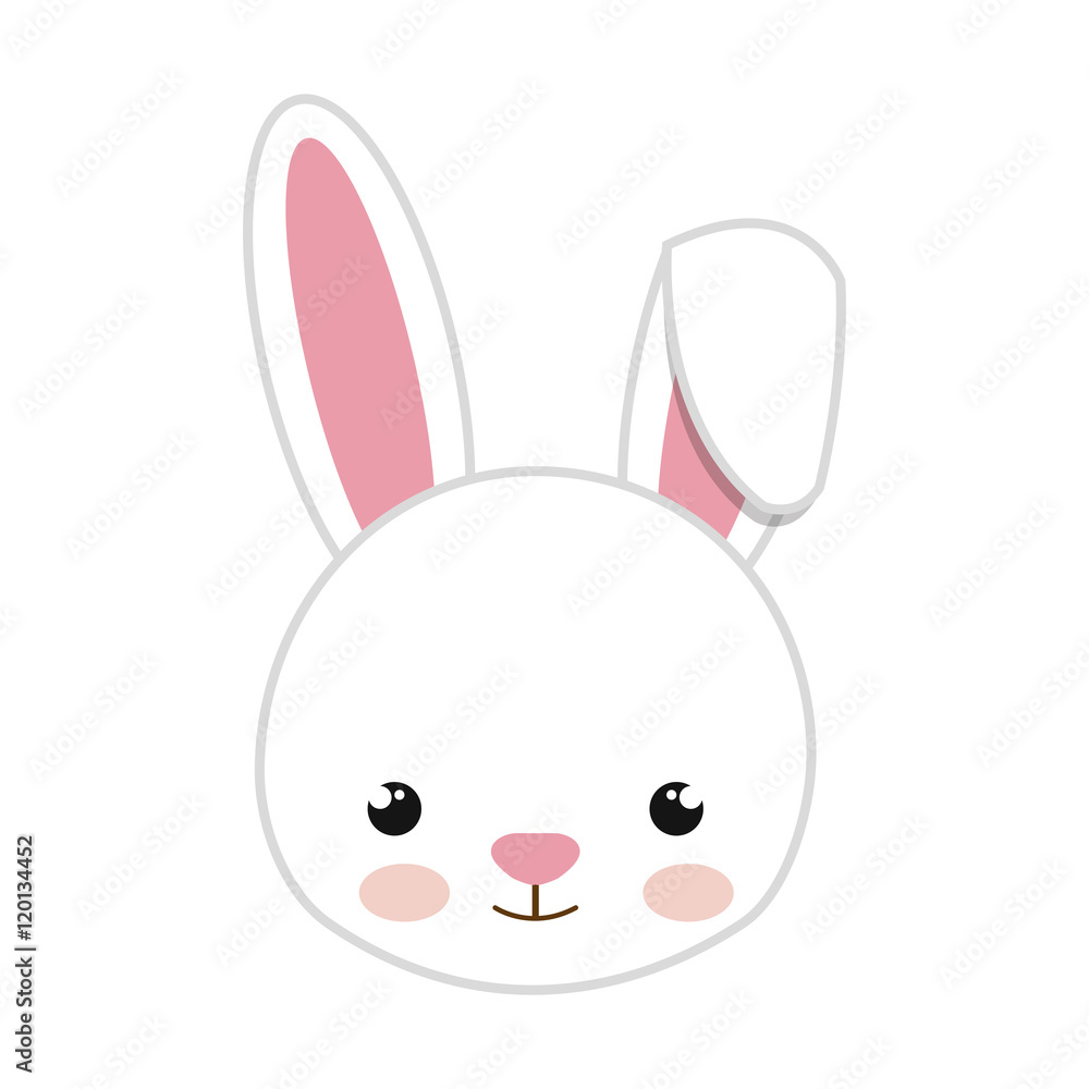 rabbit animal character cute bunny cartoon. vector illustration rabbit animal character cute bunny cartoon. vector illustration