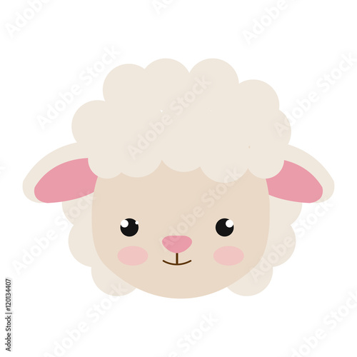 sheep animal character cute cartoon with pink nose . vector illustration 