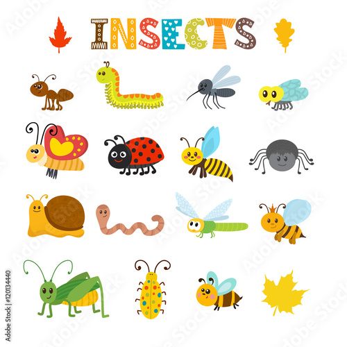 Vector set of cartoon insects. Colorful bugs collection © Helen Sko