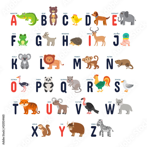 Fototapeta Naklejka Na Ścianę i Meble -  Zoo alphabet with cute cartoon animals
