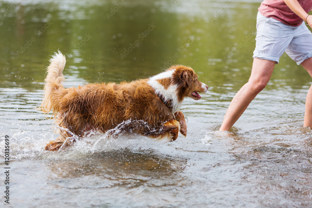 woman is running with a dog in the water woman is running with a dog in the water