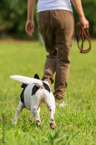woman with a dog on the meadow