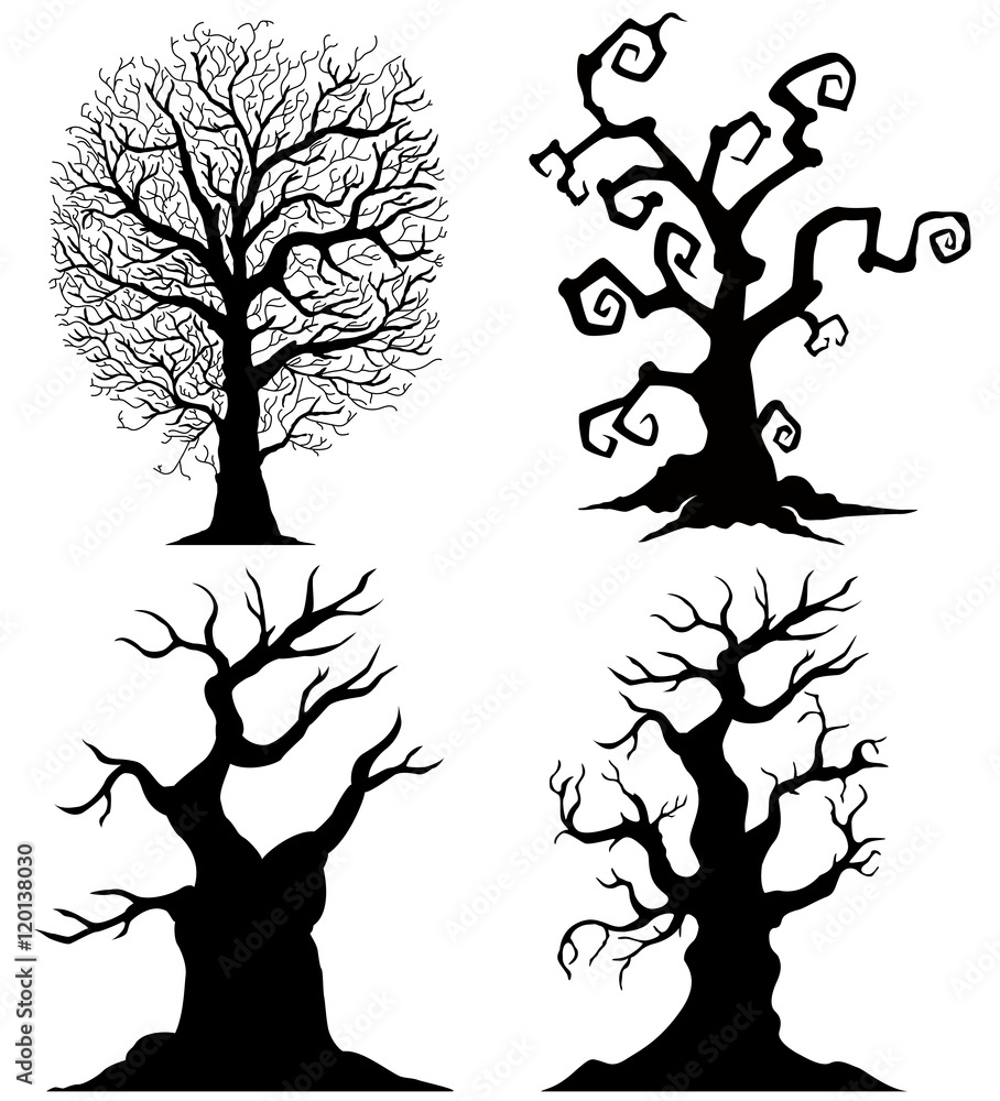 Obraz premium Scary tree silhouettes on the white background