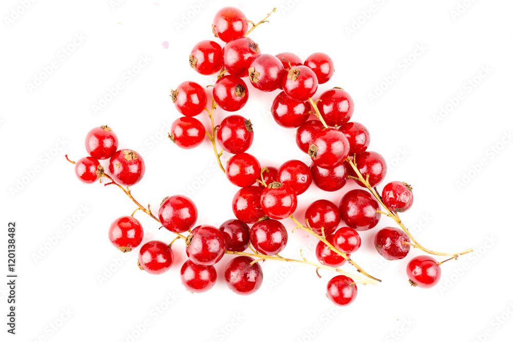 Red Currant focus by top view isolated on white background