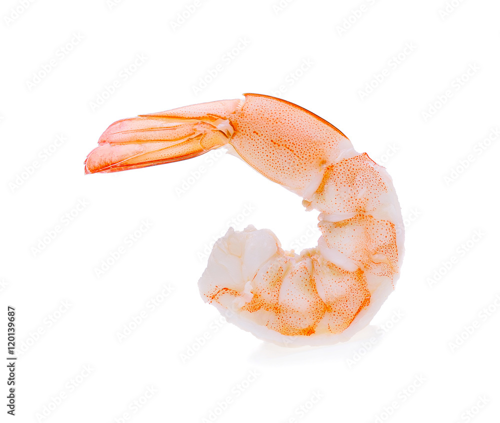 shrimps isolated on a white background shrimps isolated on a white background