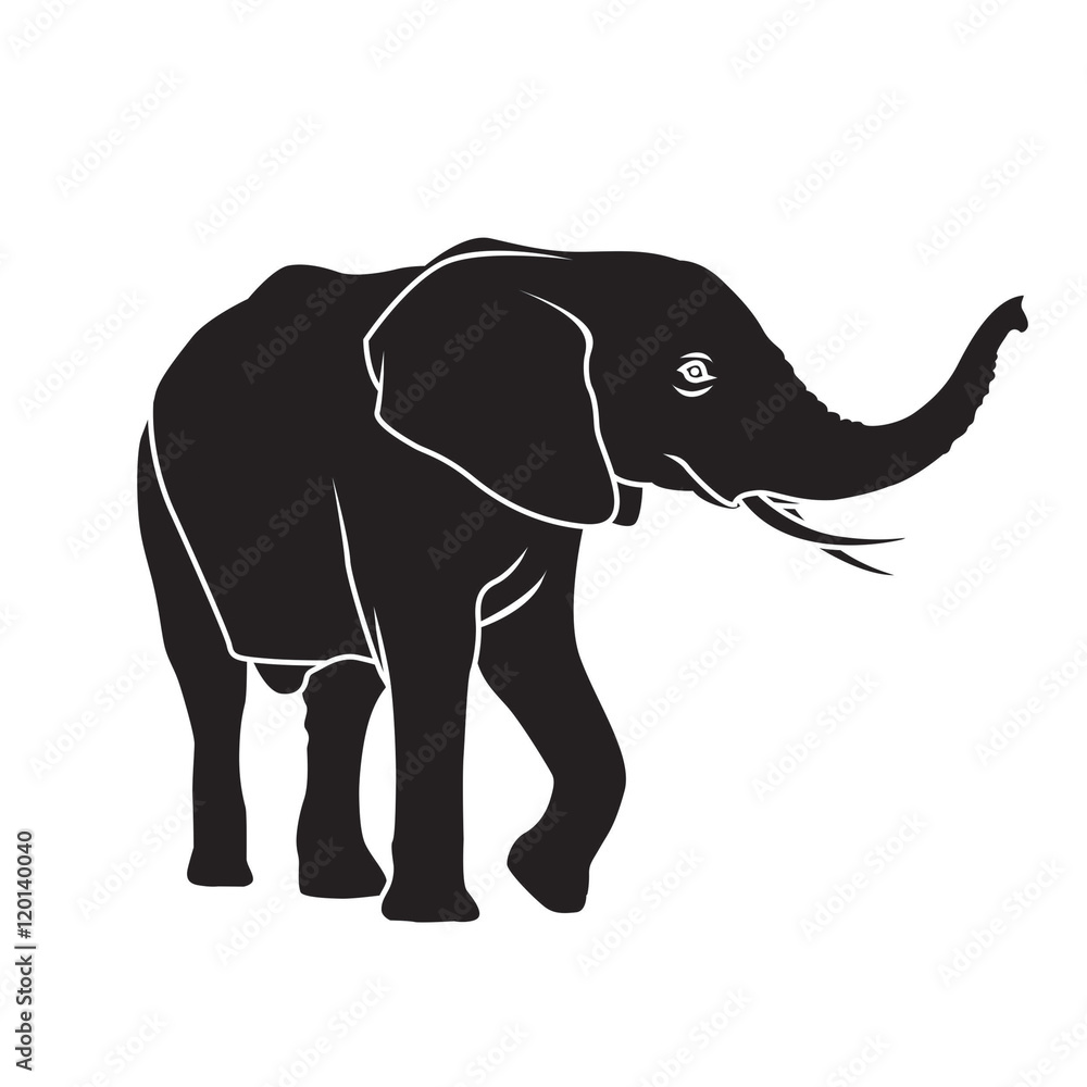 Fototapeta premium Elephant silhouette