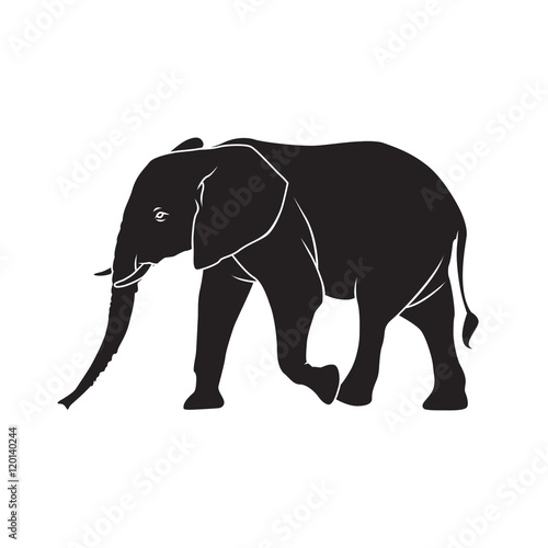 Elephant silhouette © waletmulzz