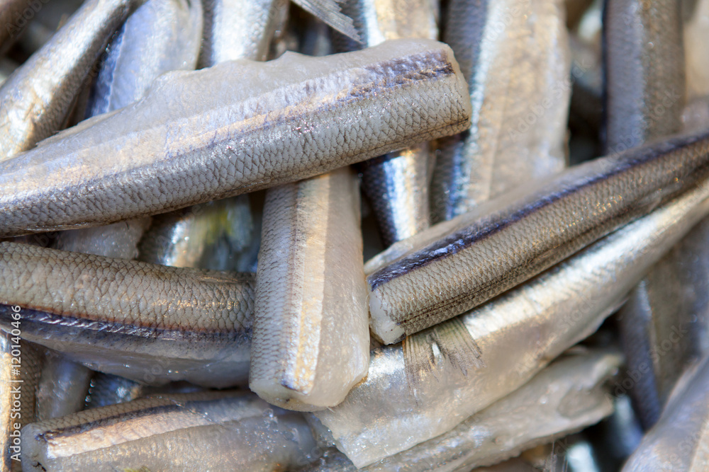 Fresh fish for sale at the seafood market. Fresh fish for sale at the seafood market.