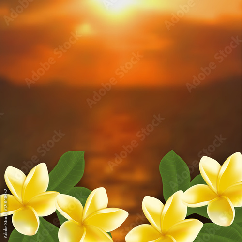 Spa concept with blurred seaside background and realistic vector frangipani