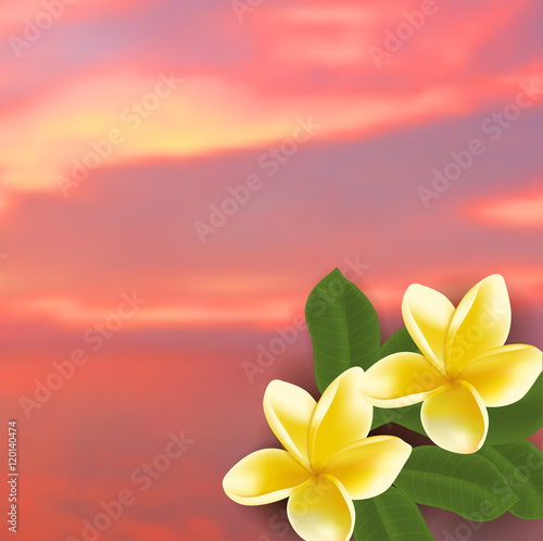 Spa concept with blurred seaside background and realistic vector frangipani