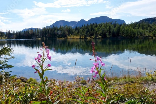 Alpine lake in Sunshine Meadows. Candian Rockies. Banff National Park. Alberta. Canada.  photo