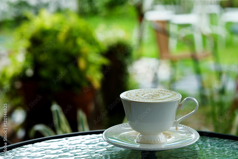 relaxing with hot cappuccino coffee Serve in white cup and catus in garden in the afternoon 