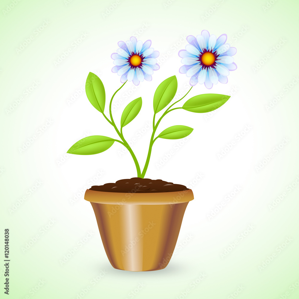 Potted Plant Shows Outdoor Houseplant And Botanic Potted Plant Shows Outdoor Houseplant And Botanic