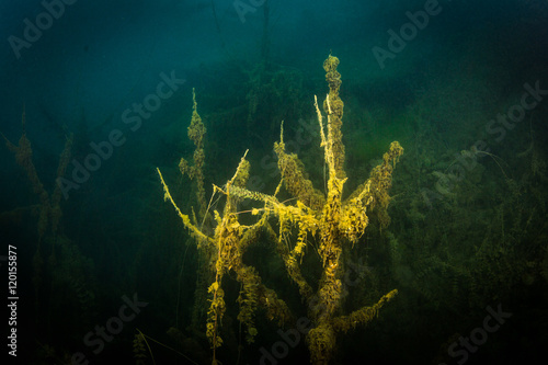 At the bottom of the river