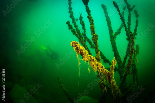 At the bottom of the river