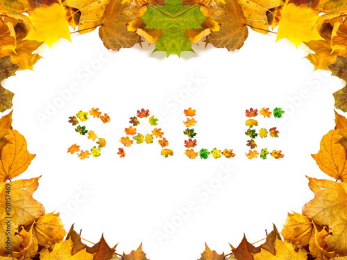 Autumn maple-leafs background with word SALE composed of autumna photo