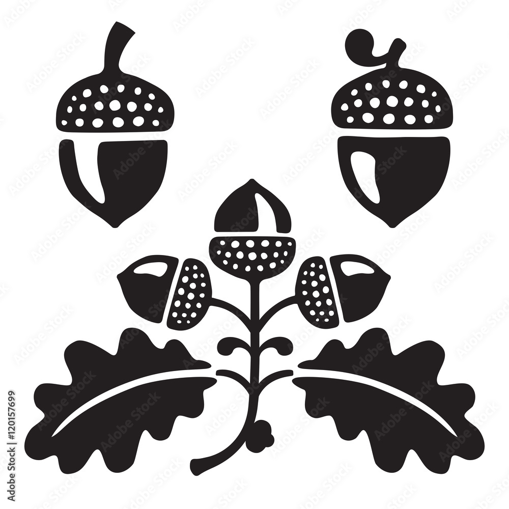 Acorn Black And White