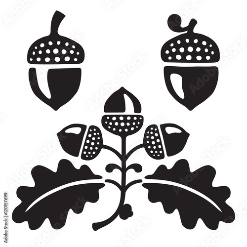 Black and white stylized illustration of oak leaves and acorns. Isolated on white background.