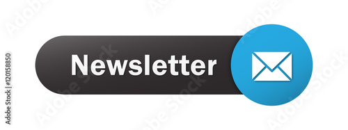 NEWSLETTER Vector Web Button