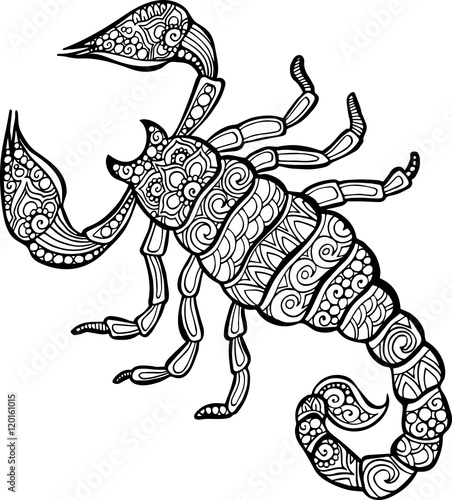 Vector hand drawn doodle scorpion illustration for coloring book