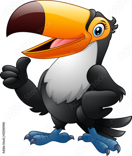 Cartoon funny toucan giving thumb up isolated on white background 