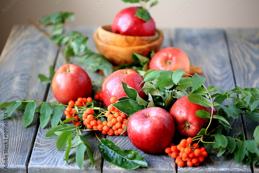 Red apples - new autumn harvest Red apples - new autumn harvest