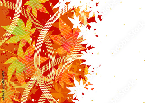 紅葉　水引　赤　背景