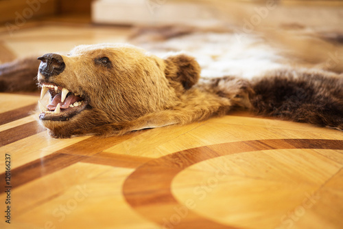 Foto stuffed bear on the floor