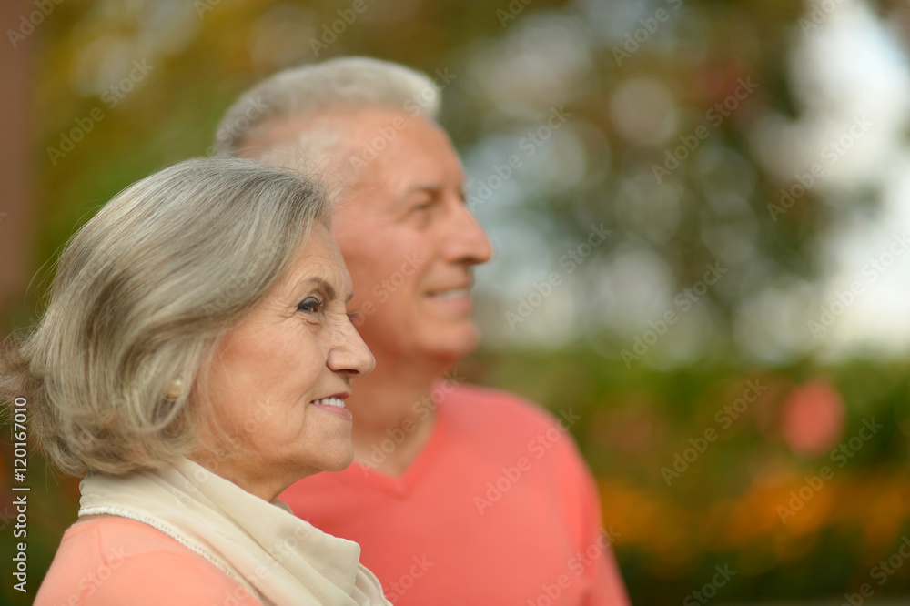 Senior couple in autumn park