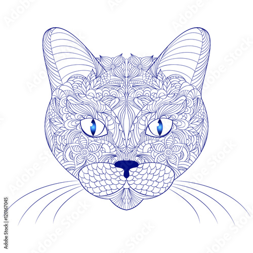 head of cat on white background