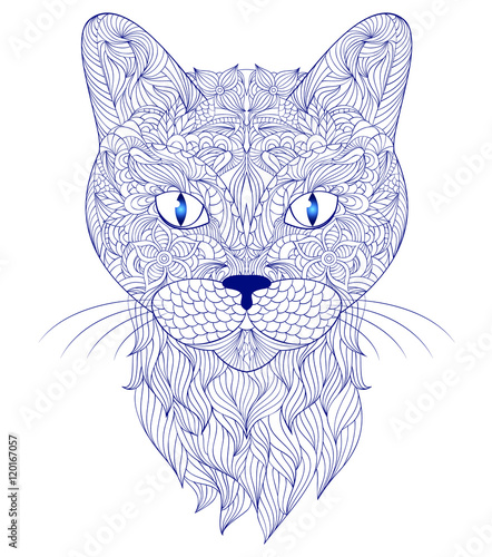 head of cat on white background