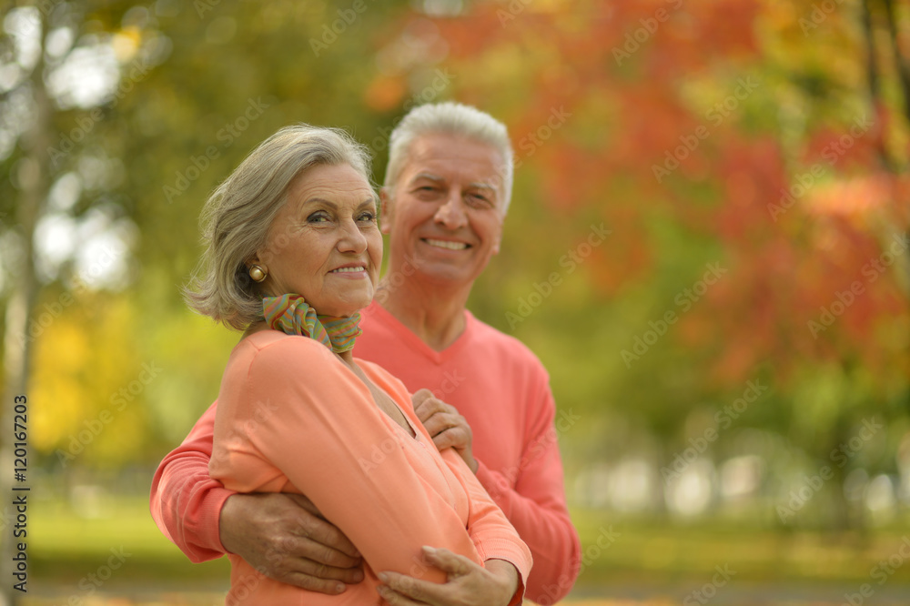 Fototapeta premium Senior couple in autumn park