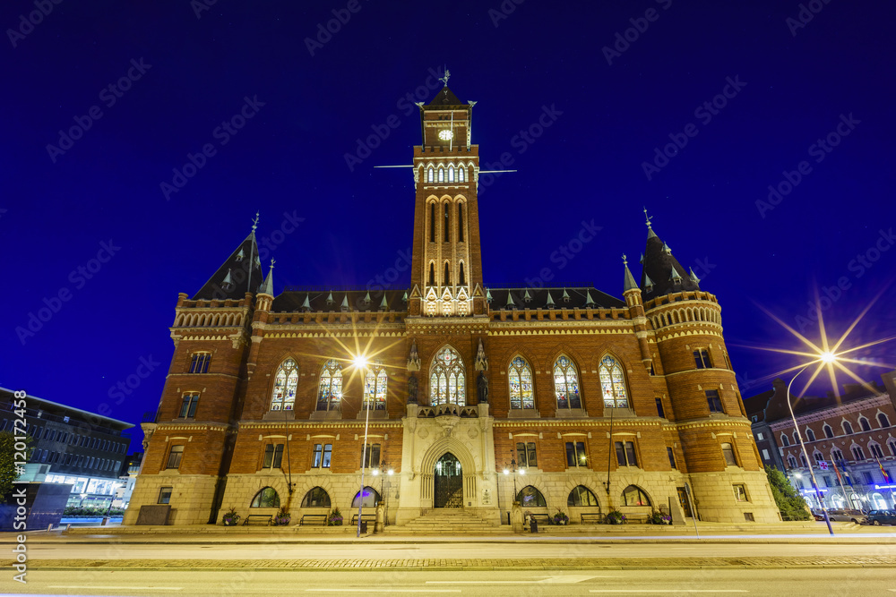 Fototapeta premium The beautiful and historical Town Hall