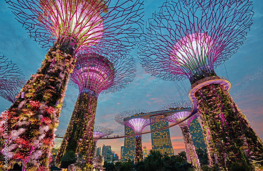 Obraz premium Supertrees w Gardens by the Bay. Singapur