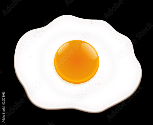 Fried egg on black background- isolated vector illustration.