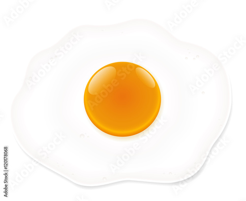 Fried egg - isolated vector illustration on white background.