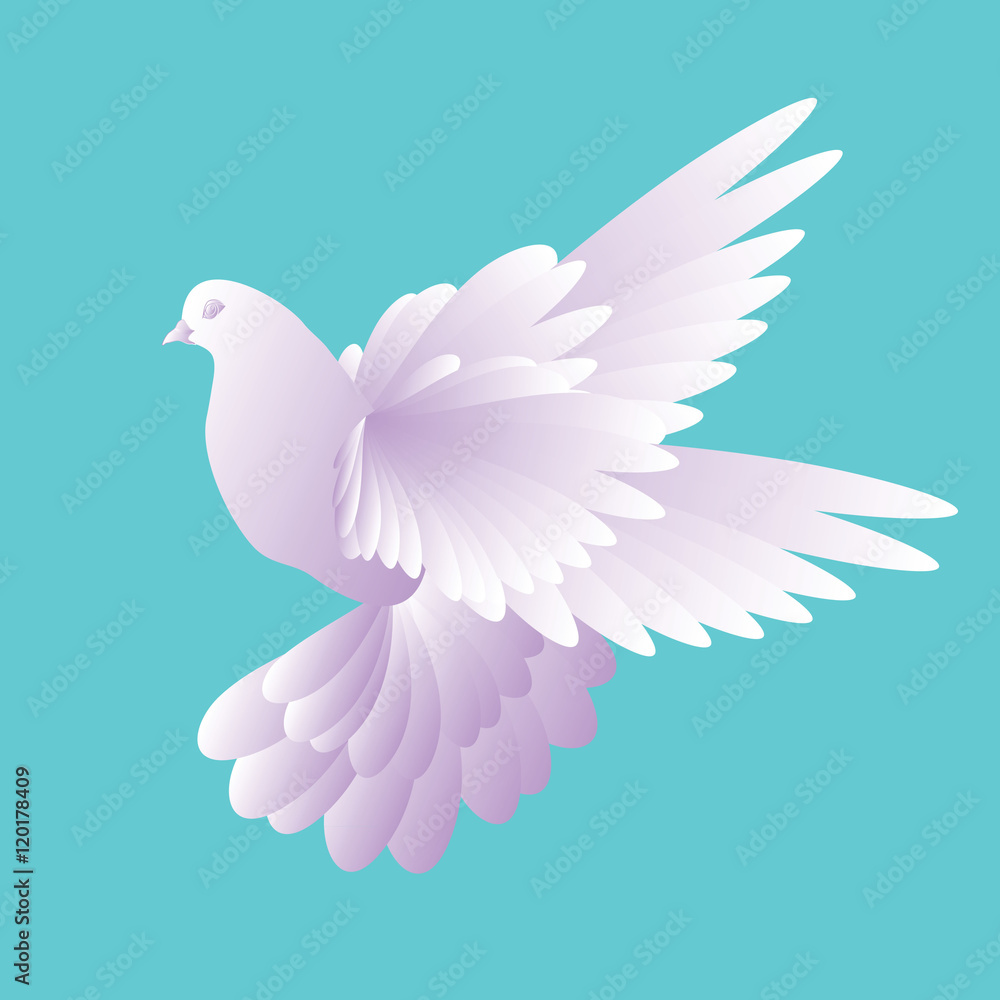 Obraz premium White dove in a blue sky . pigeon flying on the wing.Vector illustration