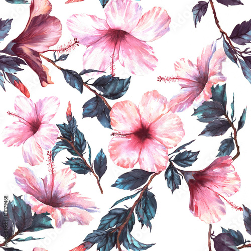 Fototapeta Ręcznie rysowane akwarela kwiatowy wzór z przetargu białe i różowe kwiaty hibiskusa. Naturalny tropikalny i żywy powtarzany nadruk na tekstyliach, tapetach itp