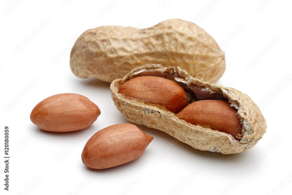 Peanuts Peanuts