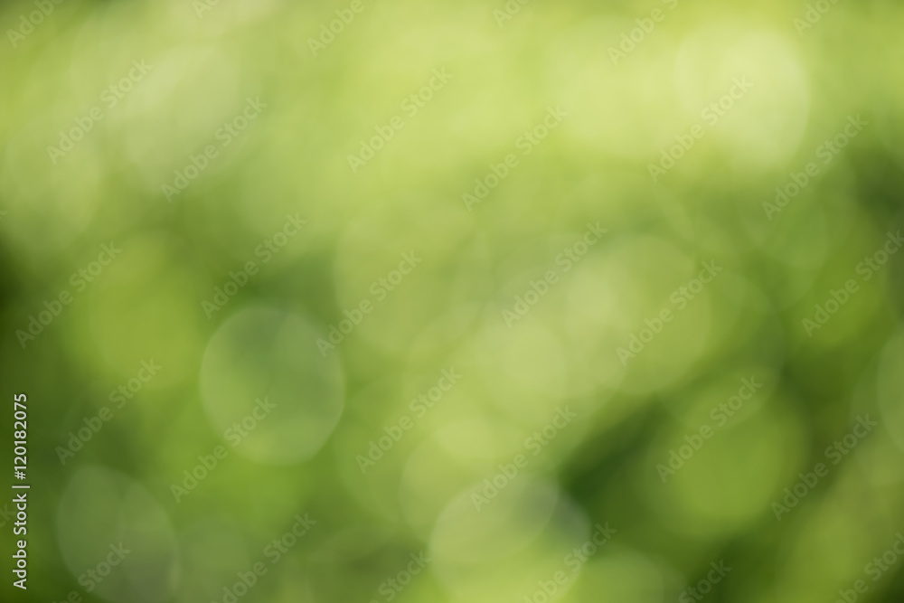 Green Nature blur out of focus Green Nature blur out of focus