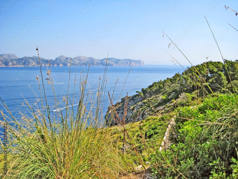 Bay of pollenca, Formentor peninsula - north coast of Majorca Bay of pollenca, Formentor peninsula - north coast of Majorca