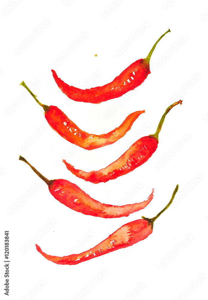 Red hot chilies on white, watercolor painting Red hot chilies on white, watercolor painting