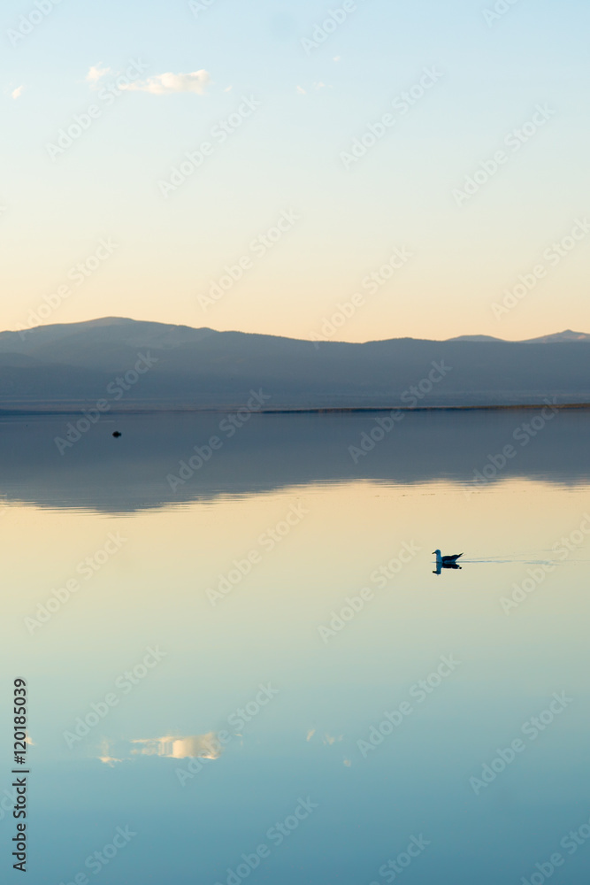 
    Reflection of sky and clouds in Mono Lake (CA), around sunset 