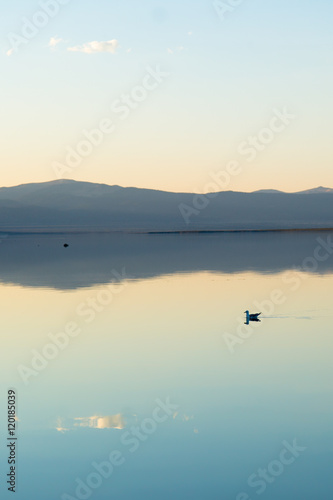       Reflection of sky and clouds in Mono Lake (CA), around sunset  © ranchorunner