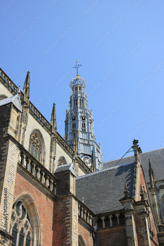 St Bavo Church - Haarlem