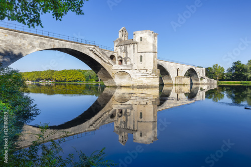 Pont d'Avignon and green foliage photo