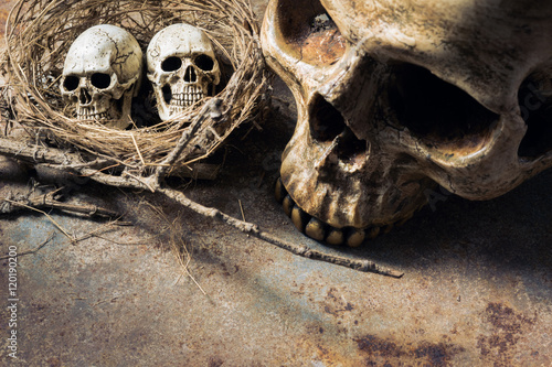 still life photography : skull and her baby in the nest with space for text of grunge background