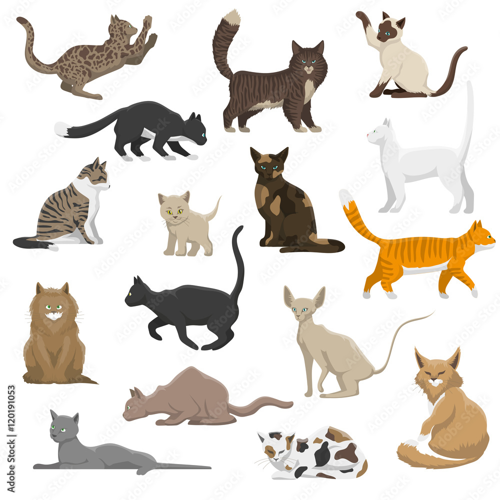 Domestic Cat Breeds Flat Icons Collection Domestic Cat Breeds Flat Icons Collection