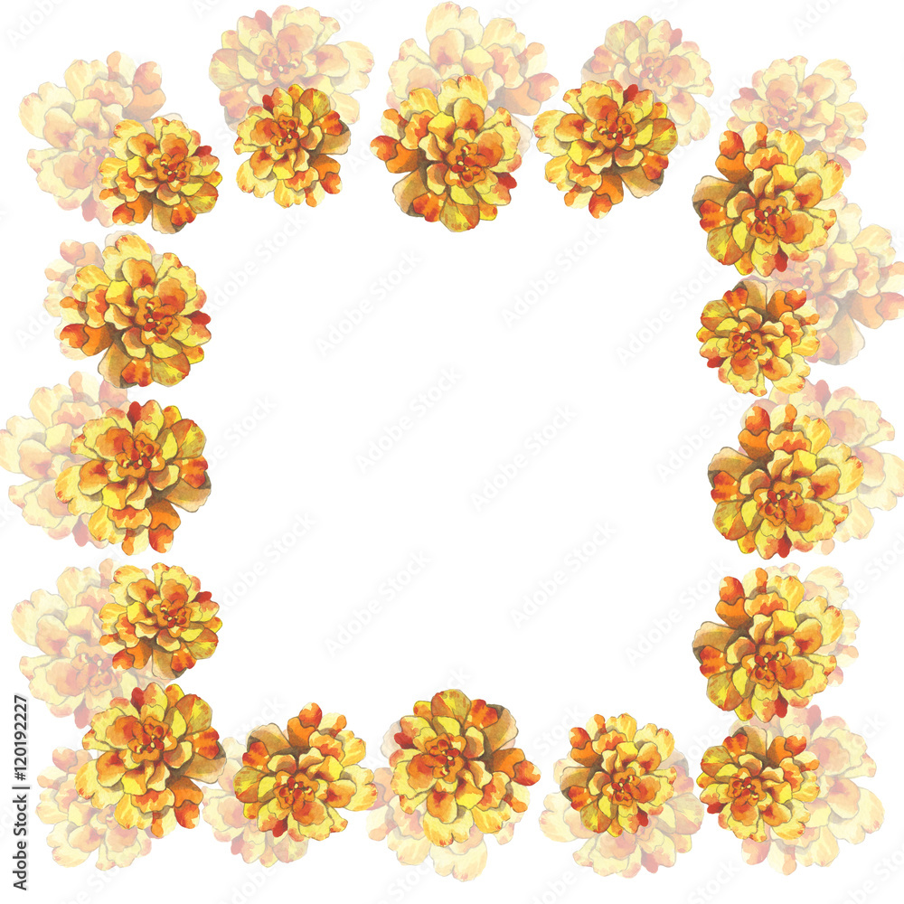Yellow marigold chrysanthemum petunia calendula rose flower fram Yellow marigold chrysanthemum petunia calendula rose flower fram