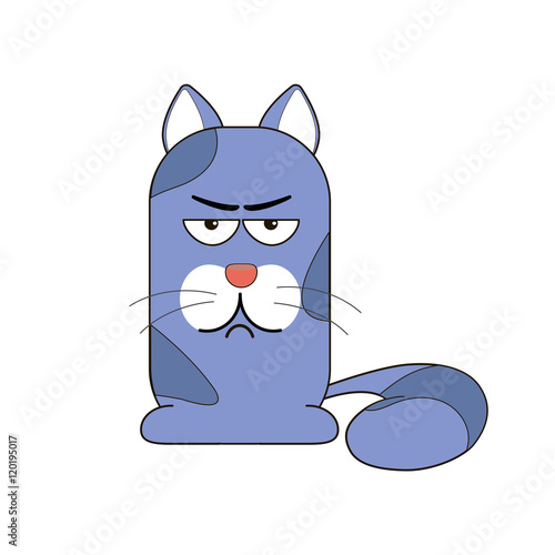 cat displeased isolated